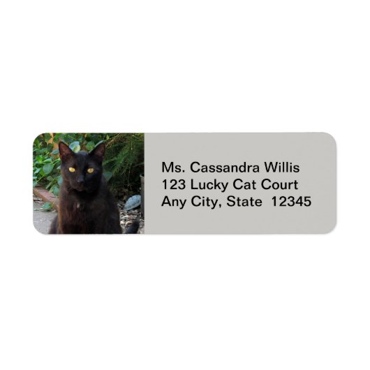 Black Cat Patient Waiting Return Address Labels (Voorkant)