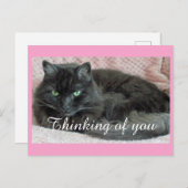 Black Cat Penser De Vous Carte Postale (Devant / Derrière)