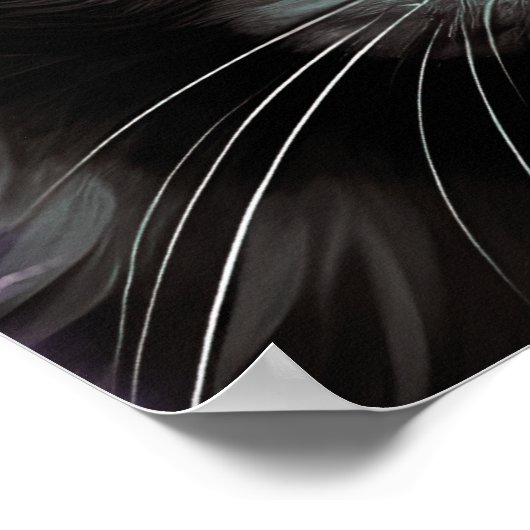 Black Cat Pet Argyle Alcoholinkt Poster (Hoek)