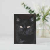 Black Cat Portrait Briefkaart (Staand voorkant)