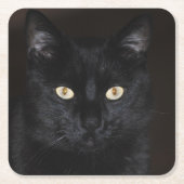 Black Cat Portrait Vierkante Kartonnen Onderzetter (Voorkant)