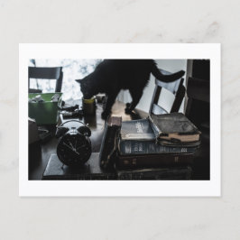 Black Cat Postcard Print by JH Thornton Briefkaart