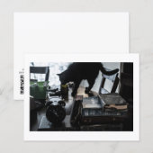 Black Cat Postcard Print by JH Thornton Briefkaart (Voorkant / Achterkant)