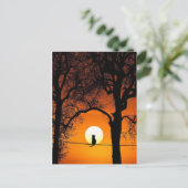 Black Cat Silhouette Sunset Briefkaart (Staand voorkant)