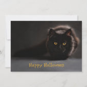  Black Cat Spooky Evil Halloween Party Kaart (Achterkant)