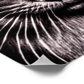 Black Cat Square Poster (Hoek)