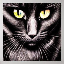 Black Cat Square Poster