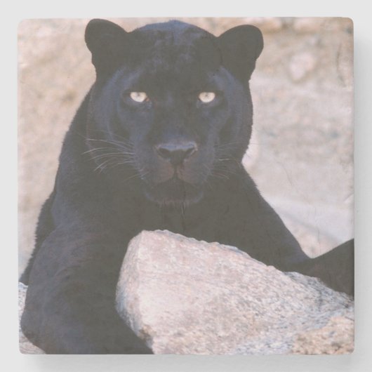 Black Cat Stone Onderzetter (Voorkant)