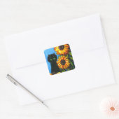 Black Cat Sunflower Creationarts Square Sticker (Envelop)