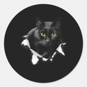 Black Cat Torn Cloth Gifts for Cat Lover, Cat Dad, Ronde Sticker