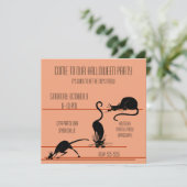 Black Cat Trio Halloween Invitation Kaart (Staand voorkant)