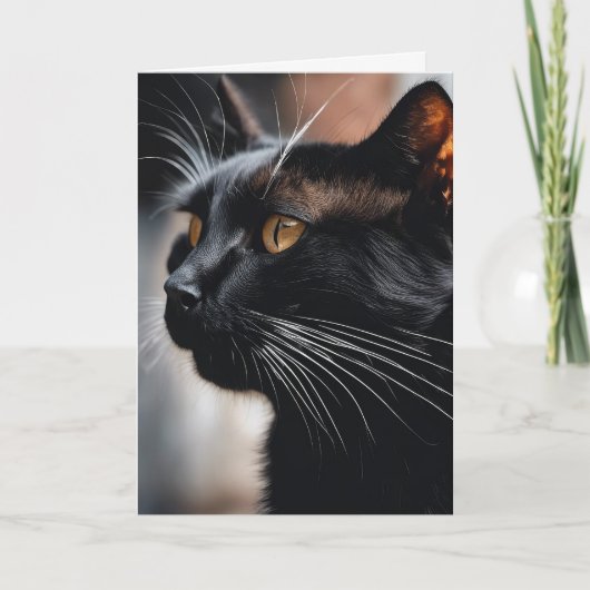 Black Cat Verjaardag Humor Kaart (Voorkant)