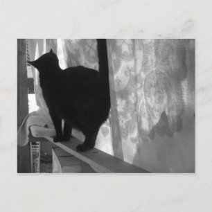 Black Cat Walks Away - briefkaart