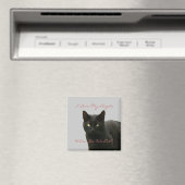 Black Cat Watching Magneet (Insitu (Vaatwasser))