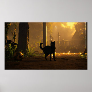 Black Cat Waterverf Wall Poster