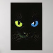 Black cat with Green And Blue Eyes Poster (Voorkant)