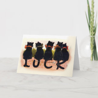 black cats - good luck kaart