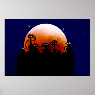 Black Cats On A Fence Poster