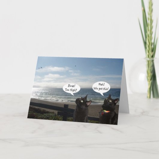 Black Cats veut la carte d'encouragement aux oisea (Devant)