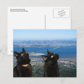 Black Cats Vue de la carte postale de la prison de (Devant / Derrière)