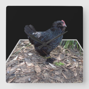 Black Chicken Pop Out_Square Wall Clock Vierkante Klok