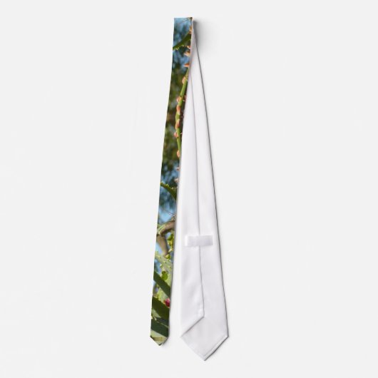 Black-Chinned Hummingbird in Flight Stropdas (Achterkant)