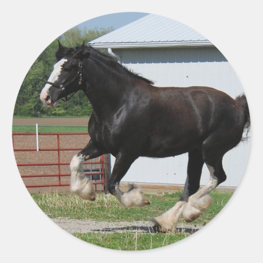 Black Clydesdale Ronde Sticker (Voorkant)