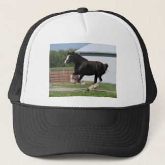 Black Clydesdale Trucker Pet