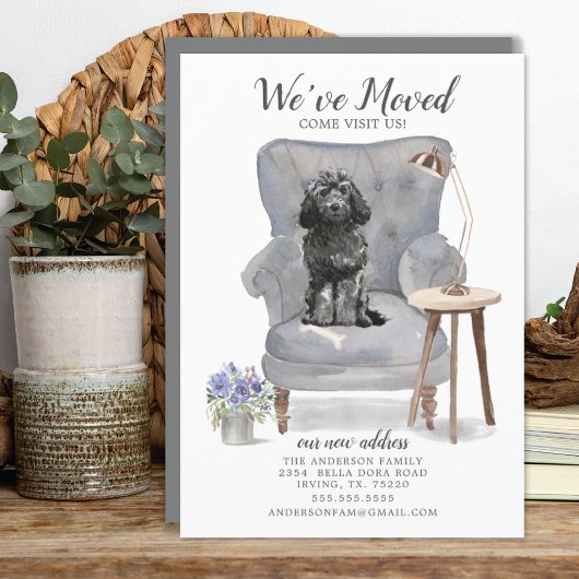Black Cockapoo Moving Announcement Aankondiging