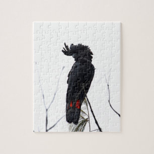 BLACK COCKATOO QUEENSLAND AUSTRALIË LEGPUZZEL