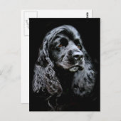 Black Cocker Spaniel Briefkaart (Voorkant / Achterkant)