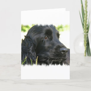 Black Cocker Spaniel Dog Wenskaart Kaart