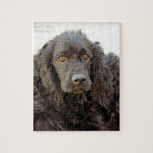 Black Cocker Spaniel "Harley" Legpuzzel (Verticaal)
