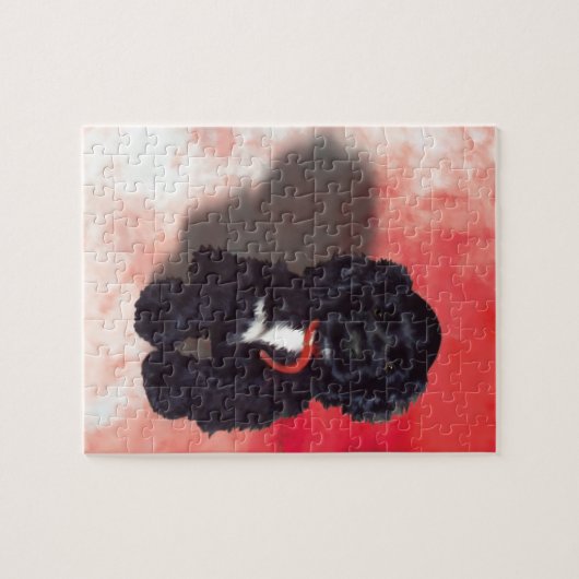 Black Cocker Spaniel Puppy - Abby Legpuzzel (Horizontaal)