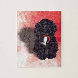 Black Cocker Spaniel Puppy - Abby Legpuzzel