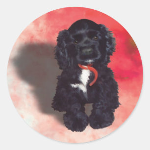 Black Cocker Spaniel Puppy - Abby Ronde Sticker