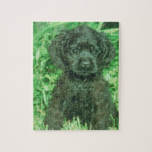 Black Cocker Spaniel Puppy Dog Puzzle Legpuzzel