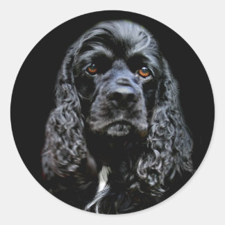 Black Cocker Spaniel Ronde Sticker