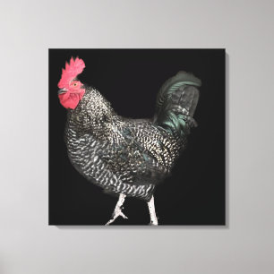 Black Cocrele No. 4 Canvas Afdruk