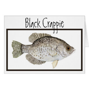 Black Crappie-kaart
