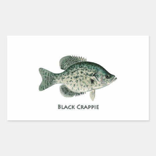 Black Crappie Rechthoekige Sticker (Voorkant)