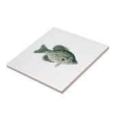 Black Crappie Tegeltje (Zijkant)