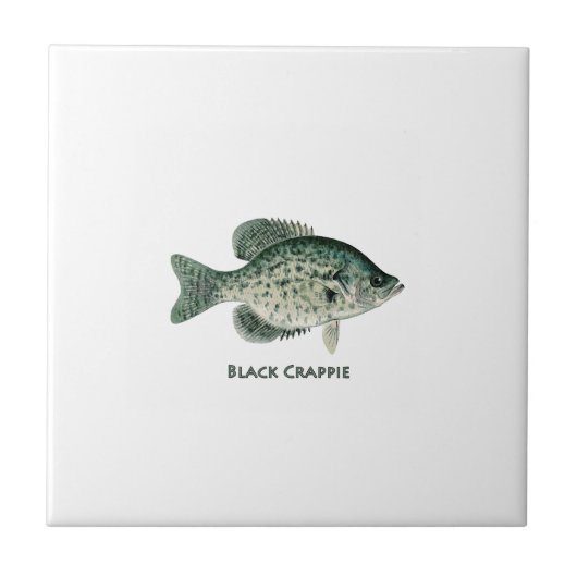 Black Crappie Tegeltje (Voorkant)