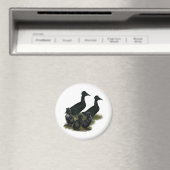 Black Crested Duck-reeks Magneet (Insitu (Vaatwasser))