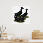 Black Crested Duck-reeks Poster (Keuken)