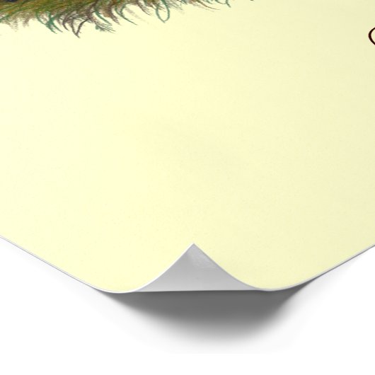 Black Crested Duck-reeks Poster (Hoek)