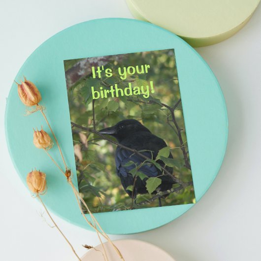 Black Crow in Tree Photo Birthday Kaart