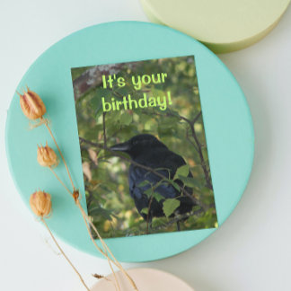 Black Crow in Tree Photo Carte d'anniversaire