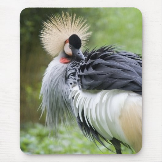 Black Crowned Crane Mousepad Muismat (Voorkant)