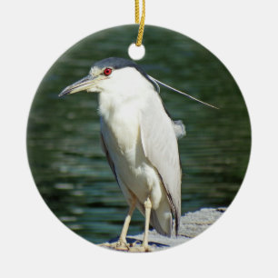 Black Crowned Night Heron op zoek naar een maaltij Keramisch Ornament